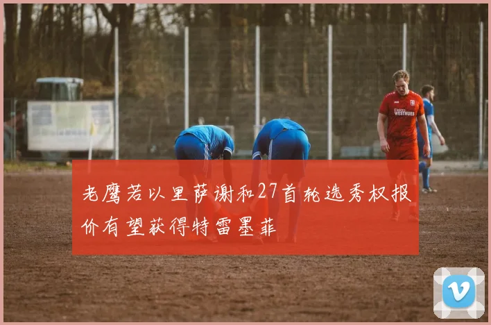 老鹰若以里萨谢和27首轮选秀权报价有望获得特雷墨菲